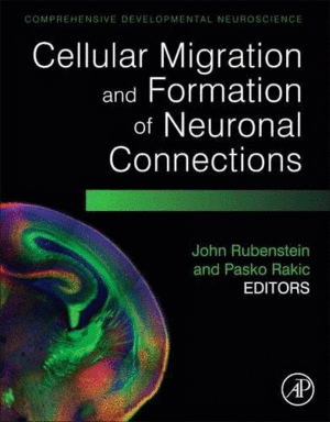 CELLULAR MIGRATION AND FORMATION OF NEURONAL CONNECTIONS. COMPREHENSIVE DEVELOPMENTAL NEUROSCIENCE