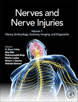 NERVES AND NERVE INJURIES