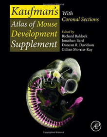 KAUFMANS ATLAS OF MOUSE DEVELOPMENT SUPPLEMENT. WITH CORONAL SECTIONS
