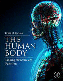 THE HUMAN BODY. A FUNCTIONAL APPROACH TO ITS STRUCTURE