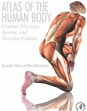 ATLAS OF THE HUMAN BODY. CENTRAL NERVOUS SYSTEM AND VASCULARIZATION