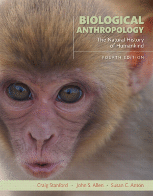 BIOLOGICAL ANTHROPOLOGY: THE NATURAL HISTORY OF HUMANKIND, 4TH EDITION