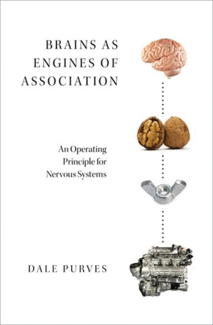 BRAINS AS ENGINES OF ASSOCIATION. AN OPERATING PRINCIPLE FOR NERVOUS SYSTEMS