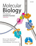 MOLECULAR BIOLOGY. PRINCIPLES OF GENOME FUNCTION. 3RD EDITION