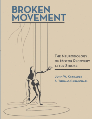 BROKEN MOVEMENT. THE NEUROBIOLOGY OF MOTOR RECOVERY AFTER STROKE