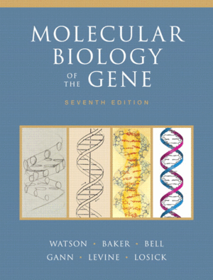 MOLECULAR BIOLOGY OF THE GENE, 7TH EDITION