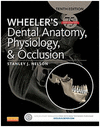 WHEELER'S DENTAL ANATOMY, PHYSIOLOGY AND OCCLUSION