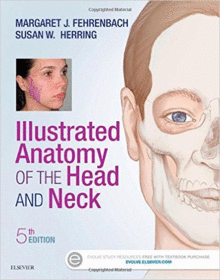 ILLUSTRATED ANATOMY OF THE HEAD AND NECK, 5TH EDITION
