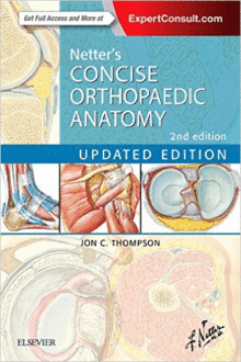 NETTER'S CONCISE ORTHOPAEDIC ANATOMY, UPDATED EDITION, 2ND EDITION