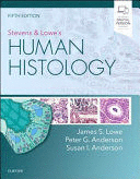 STEVENS AND LOWES HUMAN HISTOLOGY. 5TH EDITION