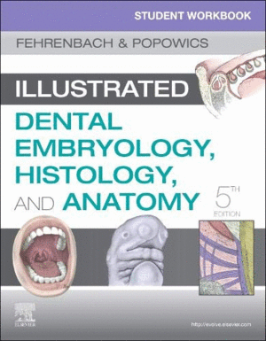 STUDENT WORKBOOK FOR ILLUSTRATED DENTAL EMBRYOLOGY, HISTOLOGY AND ANATOMY. 5TH EDITION