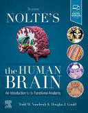 NOLTE'S THE HUMAN BRAIN. AN INTRODUCTION TO ITS FUNCTIONAL ANATOMY. 8TH EDITION