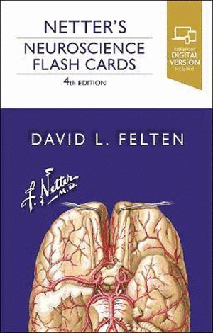 NETTER'S NEUROSCIENCE FLASH CARDS. 4TH EDITION
