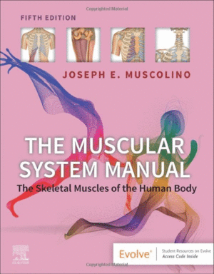 THE MUSCULAR SYSTEM MANUAL. THE SKELETAL MUSCLES OF THE HUMAN BODY. 5TH EDITION