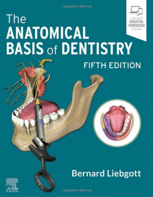 THE ANATOMICAL BASIS OF DENTISTRY. 5TH EDITION