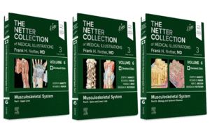 THE NETTER COLLECTION OF MEDICAL ILLUSTRATIONS. MUSCULOSKELETAL SYSTEM PACKAGE VOLUME 6 (3 VOLUME SET). 3RD EDITION