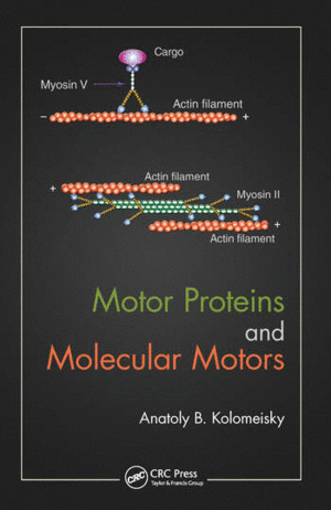 MOTOR PROTEINS AND MOLECULAR MOTORS