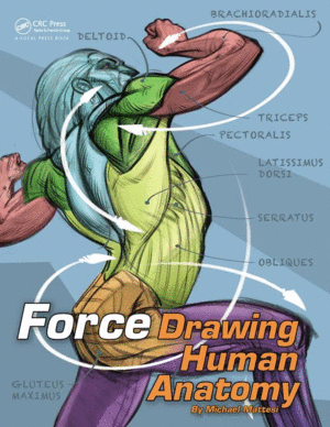 FORCE: DRAWING HUMAN ANATOMY