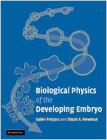 BIOLOGICAL PHYSICS OF THE DEVELOPING EMBRYO
