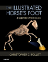 THE ILLUSTRATED HORSE'S FOOT. A COMPREHENSIVE GUIDE