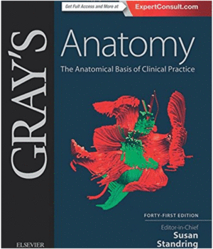 GRAY'S ANATOMY, 41ST EDITION
