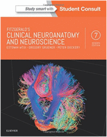 FITZGERALD'S CLINICAL NEUROANATOMY AND NEUROSCIENCE, 7TH EDITION