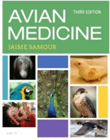 AVIAN MEDICINE, 3RD EDITION