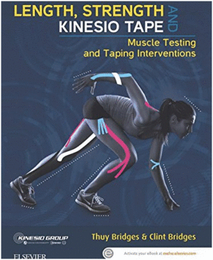 LENGTH, STRENGTH AND KINESIO TAPE. MUSCLE TESTING AND TAPING INTERVENTIONS