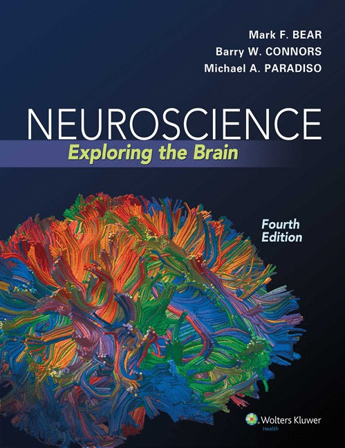 NEUROSCIENCE. EXPLORING THE BRAIN