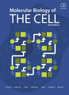 MOLECULAR BIOLOGY OF THE CELL (SOFTCOVER)
