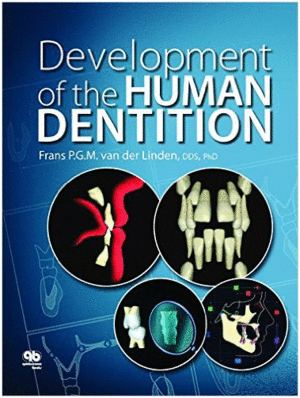 DEVELOPMENT OF THE HUMAN DENTITION