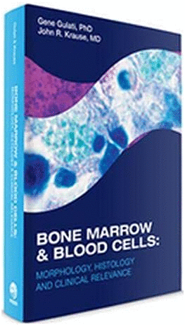 BONE MARROW & BLOOD CELLS. MORPHOLOGY, HISTOLOGY & CLINICAL RELEVANCE
