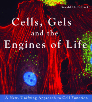 CELLS, GELS AND THE ENGINES OF LIFE. A NEW UNIFYING APPROACH TO CELL FUNCTION