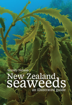 NEW ZEALAND SEAWEEDS. AN ILLUSTRATED GUIDE