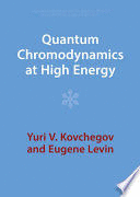 QUANTUM CHROMODYNAMICS AT HIGH ENERGY