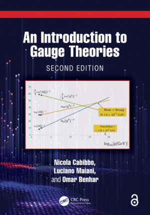 INTRODUCTION TO GAUGE THEORIES