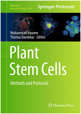 PLANT STEM CELLS. METHODS AND PROTOCOLS