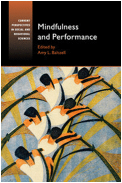 MINDFULNESS AND PERFORMANCE (CURRENT PERSPECTIVES IN SOCIAL AND BEHAVIORAL SCIENCES)