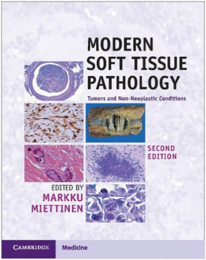 MODERN SOFT TISSUE PATHOLOGY. TUMORS AND NON-NEOPLASTIC CONDITIONS. 2ND EDITION