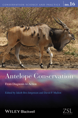 ANTELOPE CONSERVATION: FROM DIAGNOSIS TO ACTION (PAPERBACK)