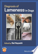 DIAGNOSIS OF LAMENESS IN DOGS