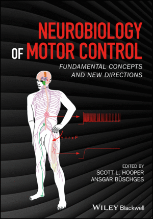 NEUROBIOLOGY OF MOTOR CONTROL: FUNDAMENTAL CONCEPTS AND NEW DIRECTIONS
