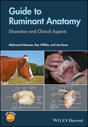 GUIDE TO RUMINANT ANATOMY: DISSECTION AND CLINICAL ASPECTS