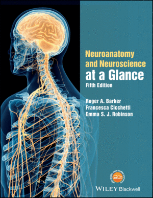 NEUROANATOMY AND NEUROSCIENCE AT A GLANCE, 5TH EDITION