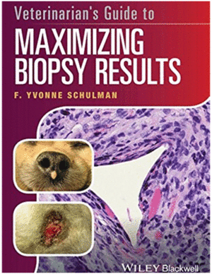 VETERINARIAN'S GUIDE TO MAXIMIZING BIOPSY RESULTS