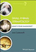 SMALL ANIMAL DERMATOLOGY. WHATS YOUR DIAGNOSIS?