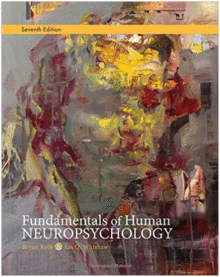 FUNDAMENTALS OF HUMAN NEUROPSYCHOLOGY 7TH EDITION