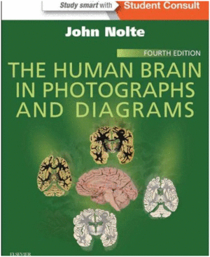 THE HUMAN BRAIN IN PHOTOGRAPHS AND DIAGRAMS. 4TH EDITION. WITH STUDENT CONSULT ONLINE ACCESS
