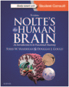 NOLTE'S THE HUMAN BRAIN, 7TH EDITION