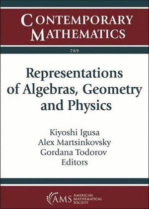 REPRESENTATIONS OF ALGEBRAS, GEOMETRY AND PHYSICS